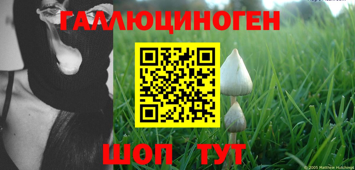 Псилоцибиновые грибы ЛСД Санкт-Петербург